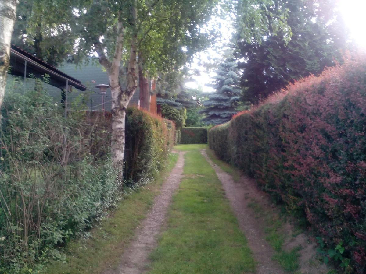 Domek W Glebinowie Exteriör bild